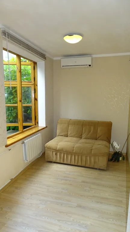 Однокомнатная квартира с двориком около дома Чехова