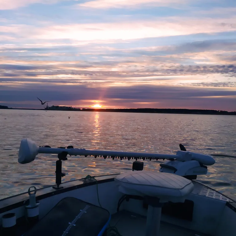 Коттедж Уютный домик рядом с заливом — Светлый