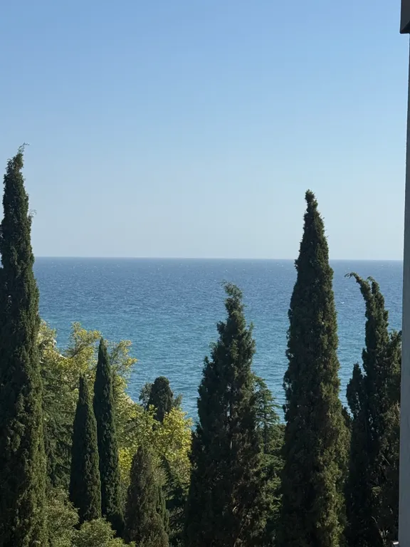 Студия с видом на море и Мыс Плака