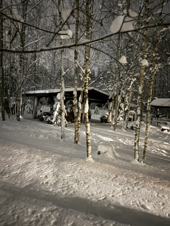 Домик в лесу с баней