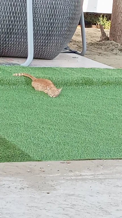 Коттедж Гостевой Дом с баней — Старокорсунская