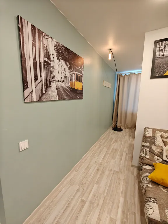 Уютная однокомнатная квартира