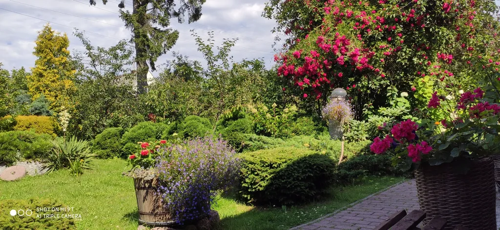 Небольшая дружелюбная студия с патио