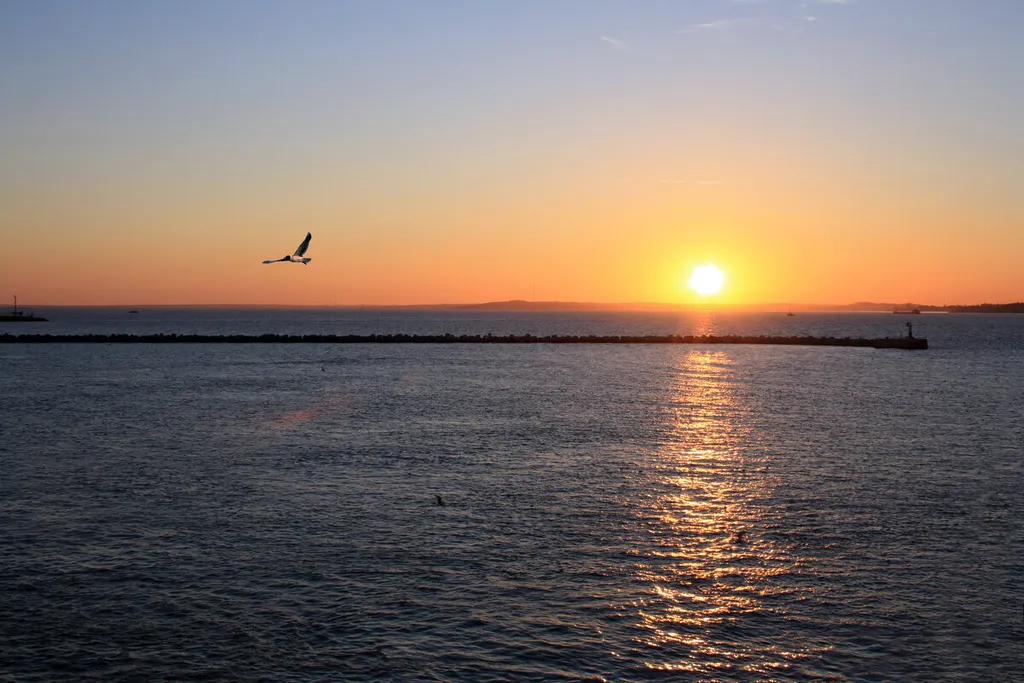 Семейная студия