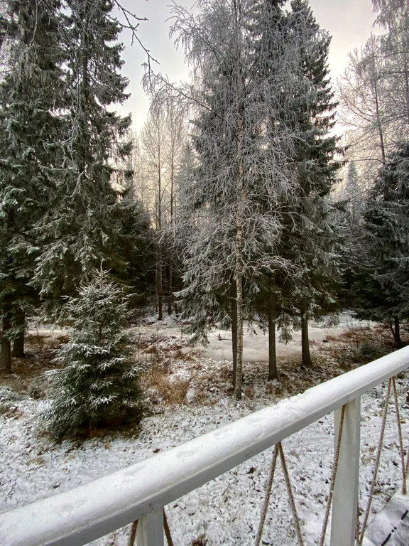 Дом-Баня у речки