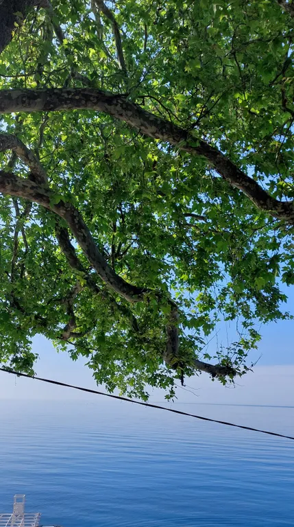 Евродвушка с видом на море на первой береговой линии