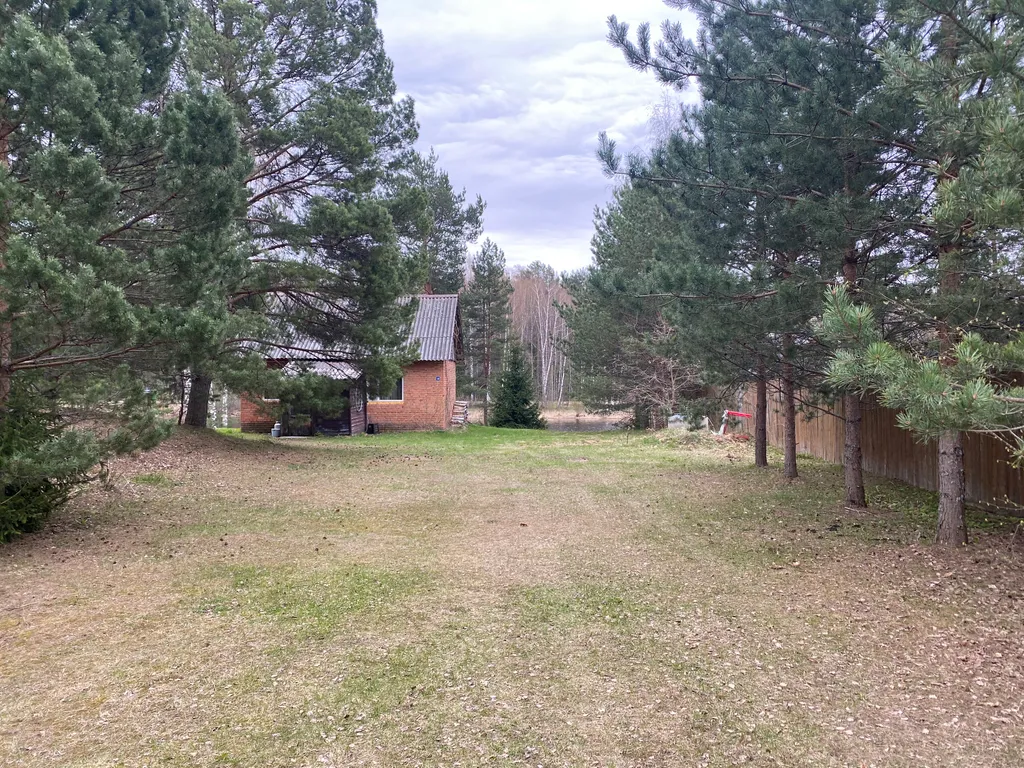 Дом на живописном берегу реки в деревне Пачеболка