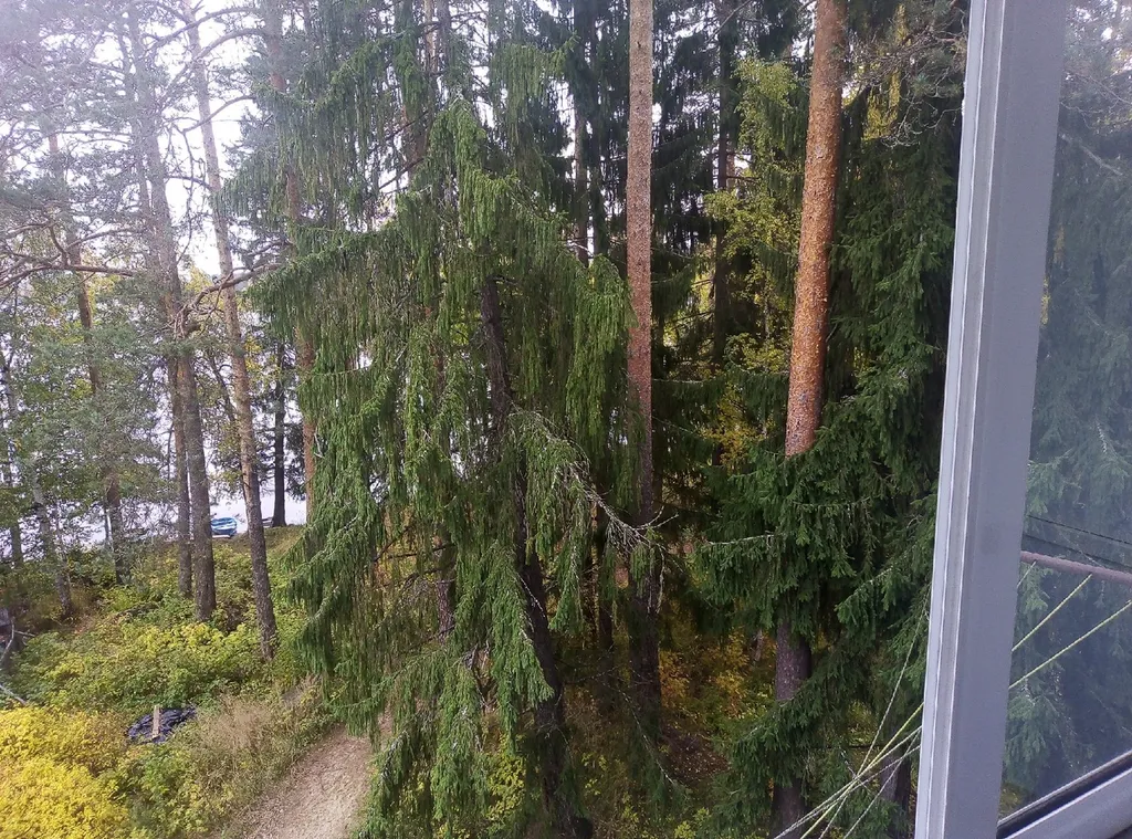 Квартира на берегу озера