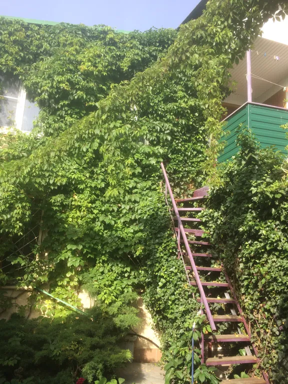 Квартира Комната — Анапа