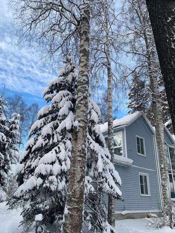 Коттедж Коттедж Семейный отдых на берегу Финского залива. — Санкт-Петербург