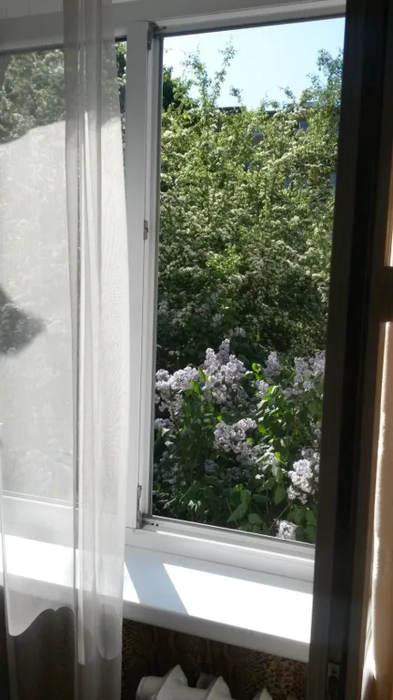 Квартира в самом центре