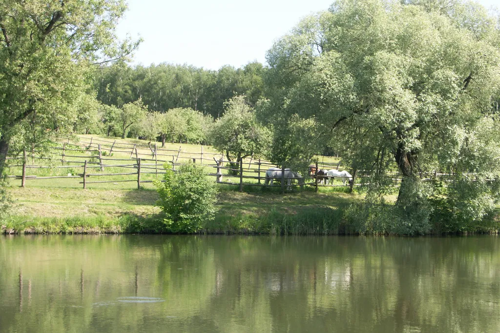 Гостевой домик в Ясной Поляне