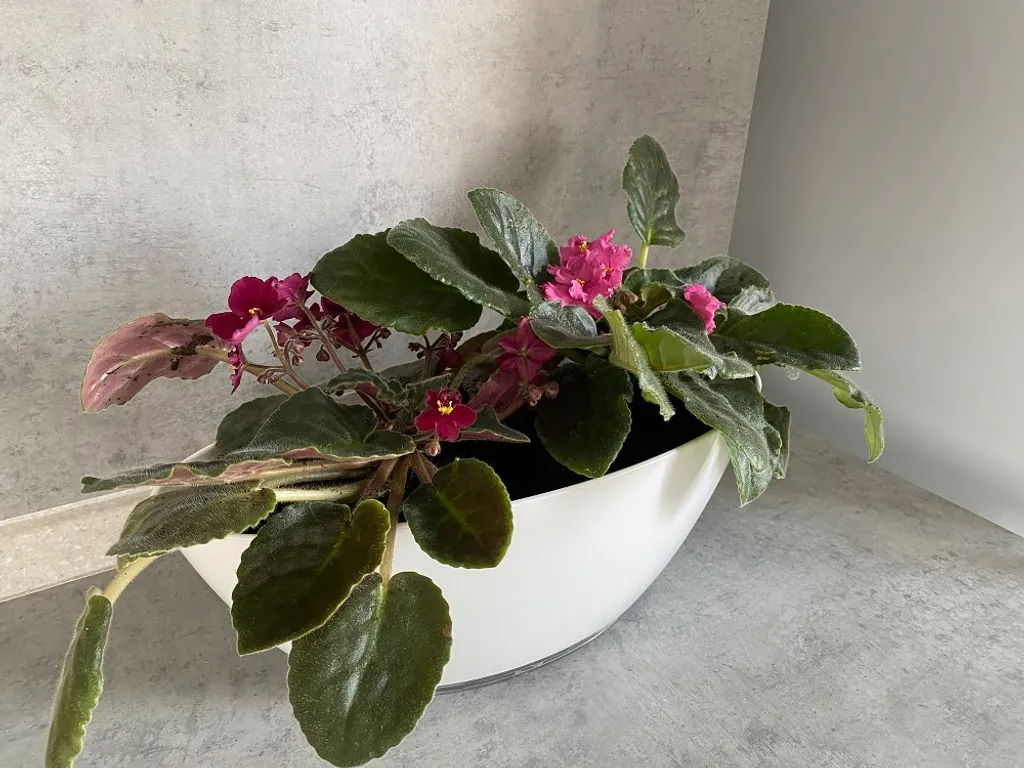 Стильная и уютная квартира студия класса комфорт