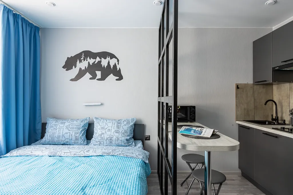 Квартира-студия в центре города