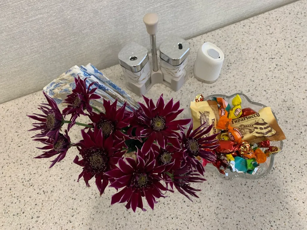 Уютная однокомнатная квартира напротив речки Великая