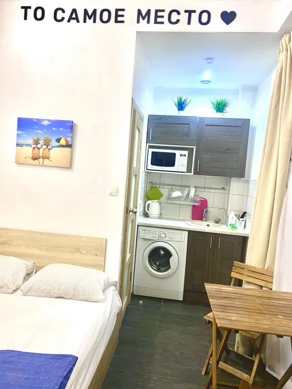 Квартира 1-комнатная Квартира — Сириус