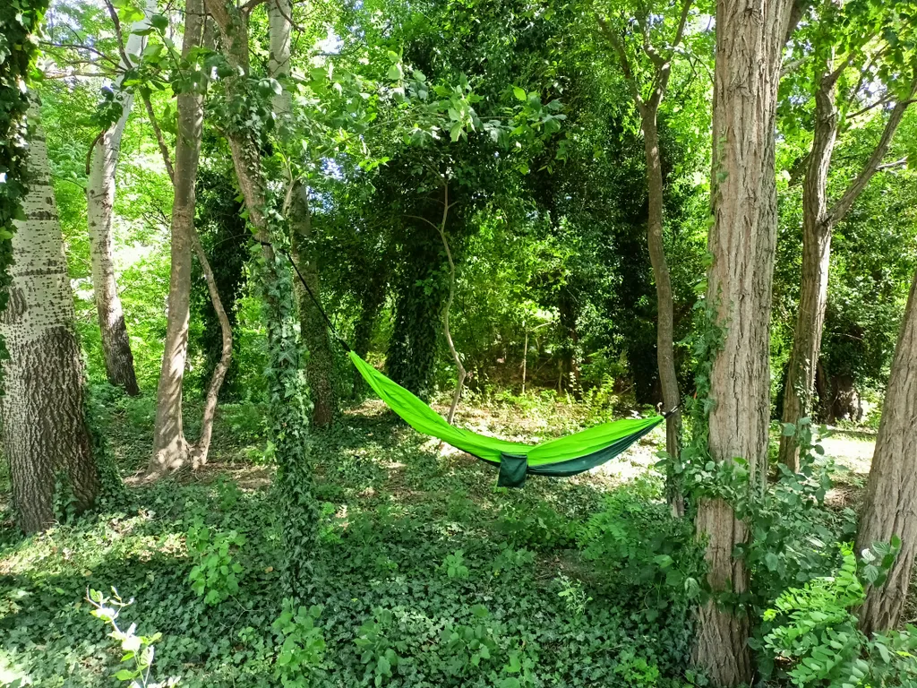 Коттедж Дом в лесу у реки — Севастополь