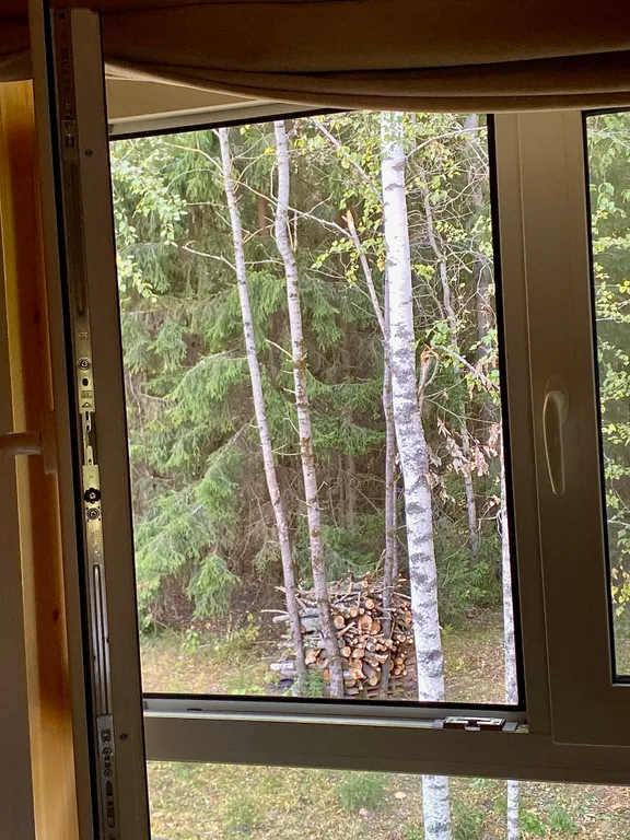 Дом из бруса в лесу с баней и чаном