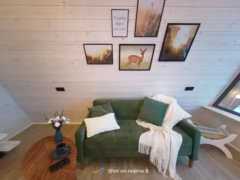 Домик А-фрейм с баней и купелью