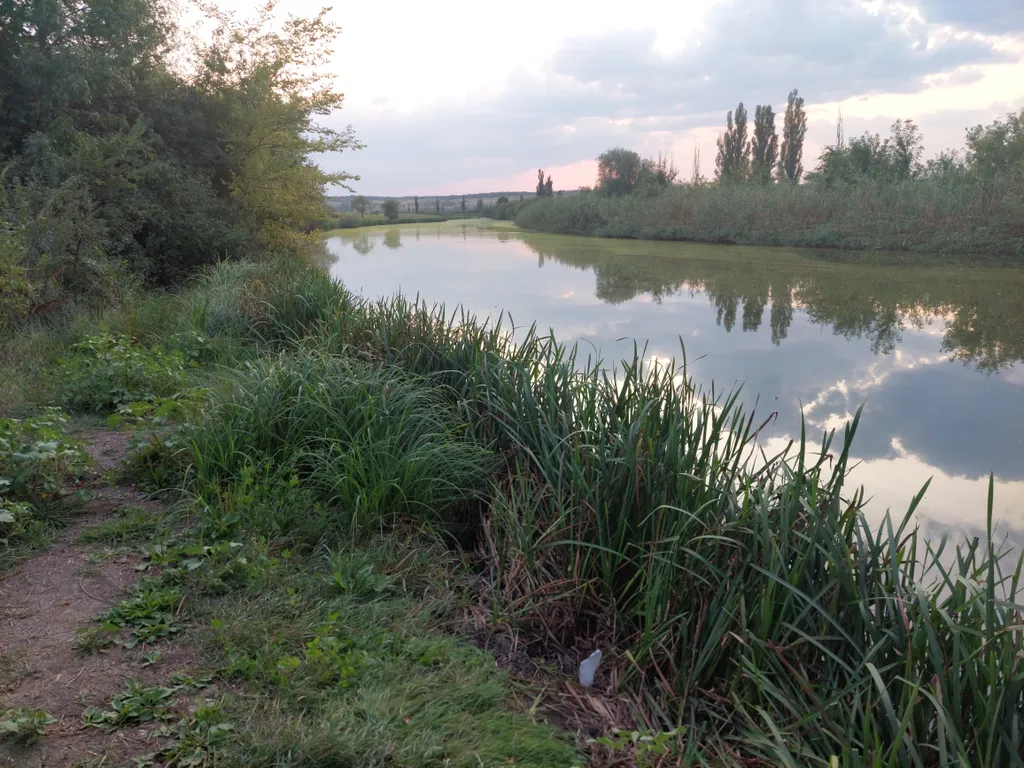 Коттедж с камином