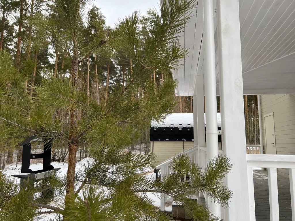 Дом на берегу Волги с баней бочкой