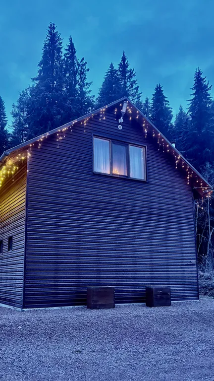 Дом с баней у леса