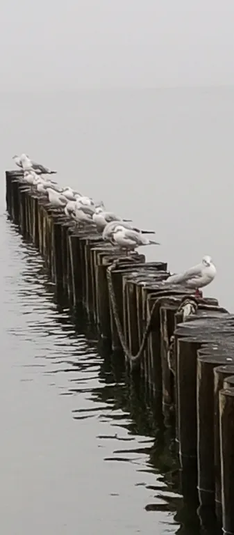 Просторная квартира на тихой улице