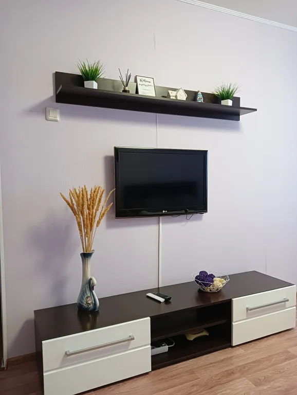 Уютная однокомнатная квартира