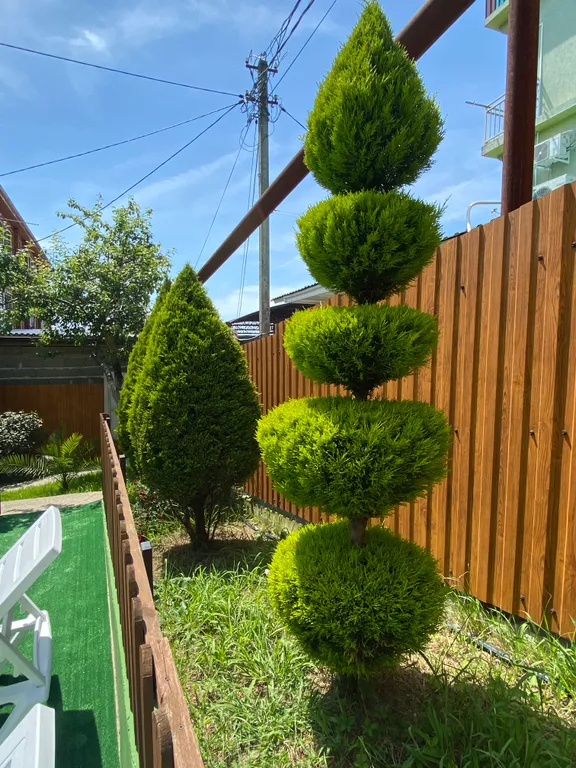 Квартира 1-комнатная Квартира — Адлер