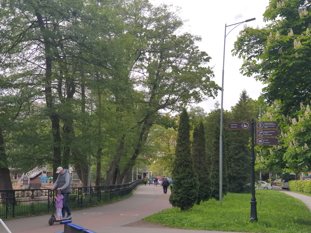 Уютная квартира с видом на озеро и сосновый лес