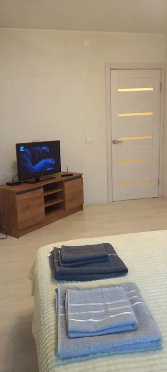 Уютная однокомнатная квартира