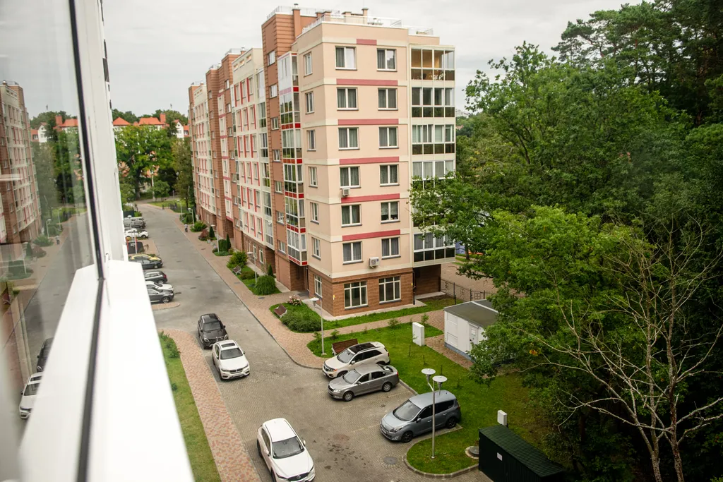 Студия балтийские сосны