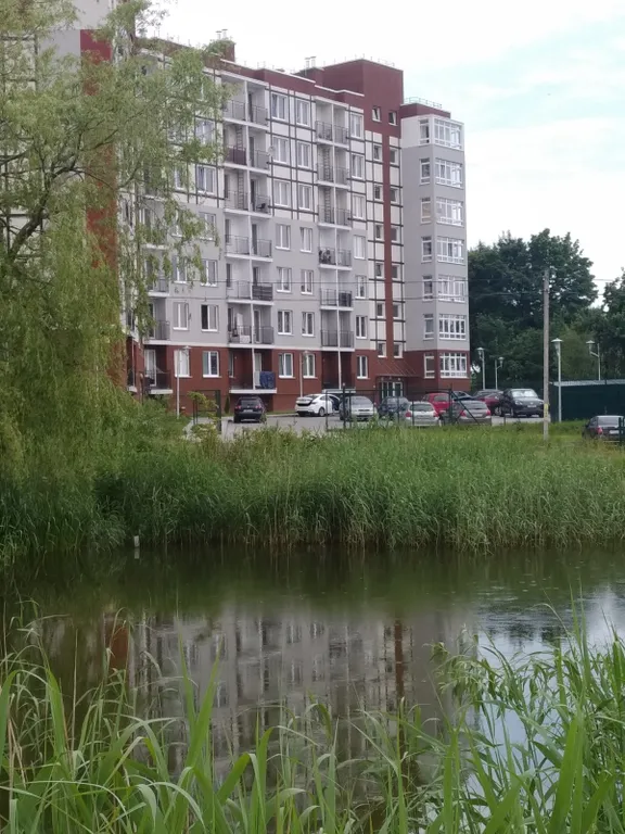 Квартира Квартира То, Что Надо — Светлогорск