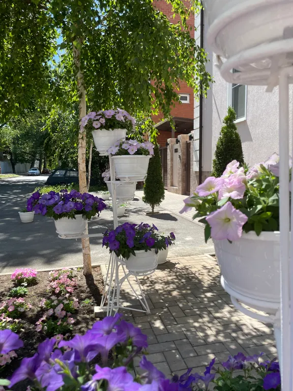 Квартира Комната — Анапа