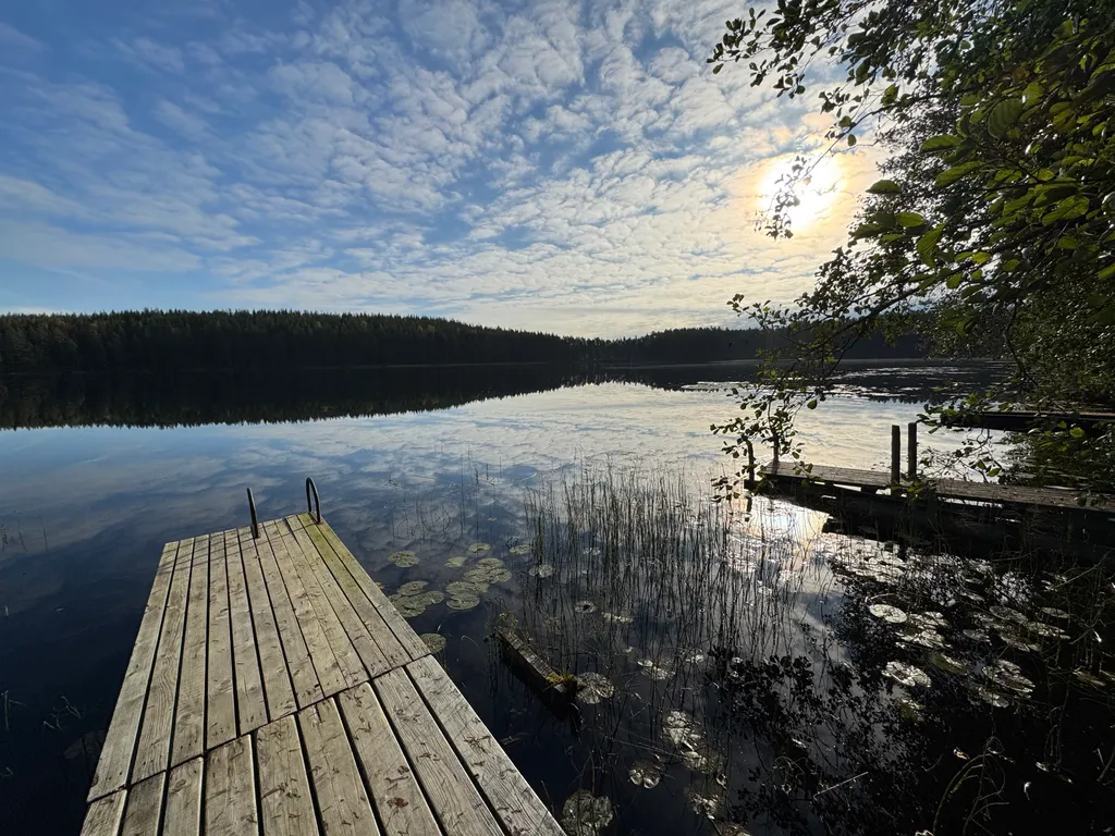 Ретро-дача с баней на берегу лесного озера