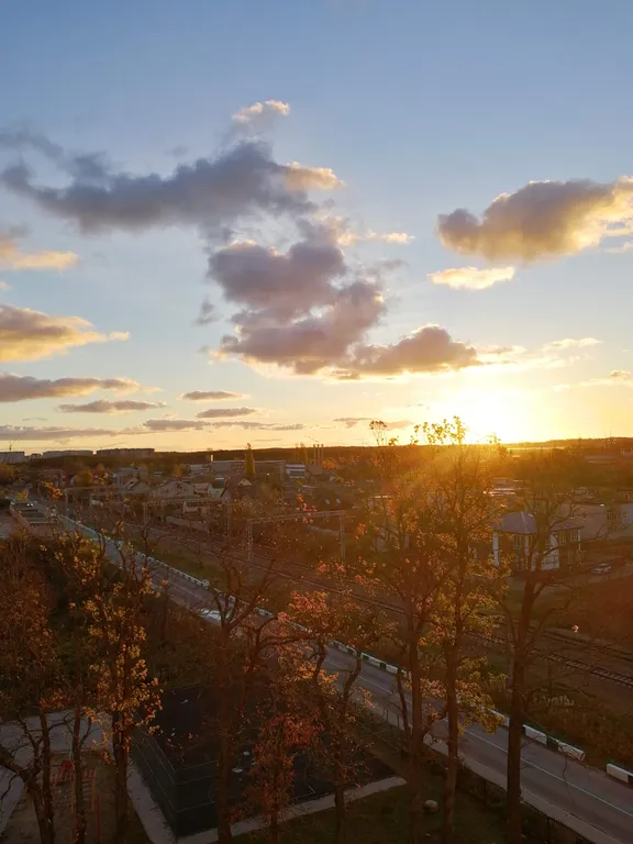 Квартира Яркая квартира на берегу моря — Зеленоградск