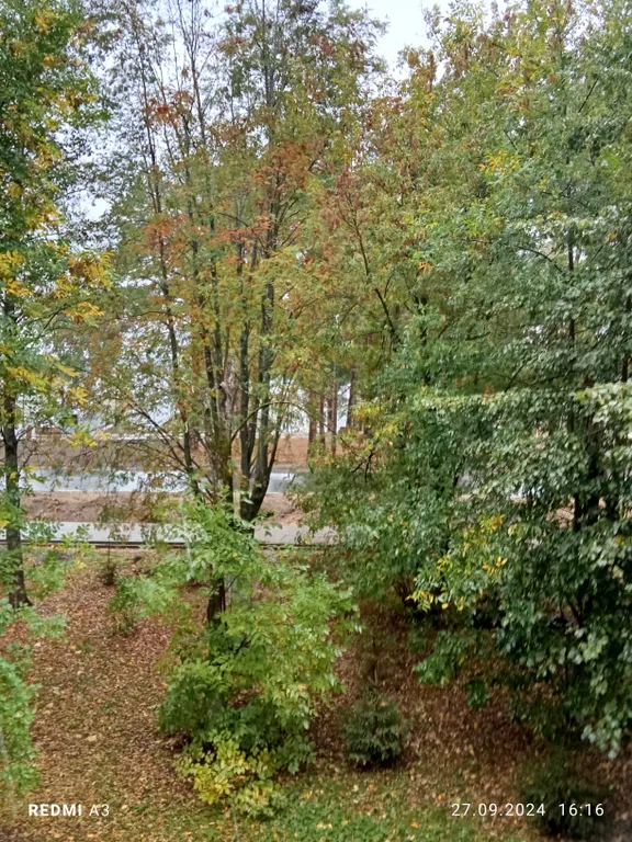 Уютная квартира с видом на реку