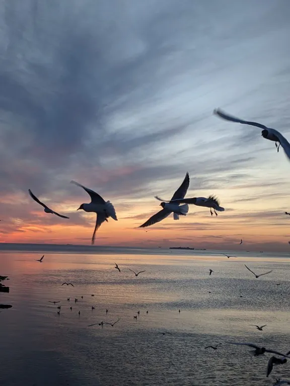 Квартира Квартира у Финского залива в новом доме — Санкт-Петербург