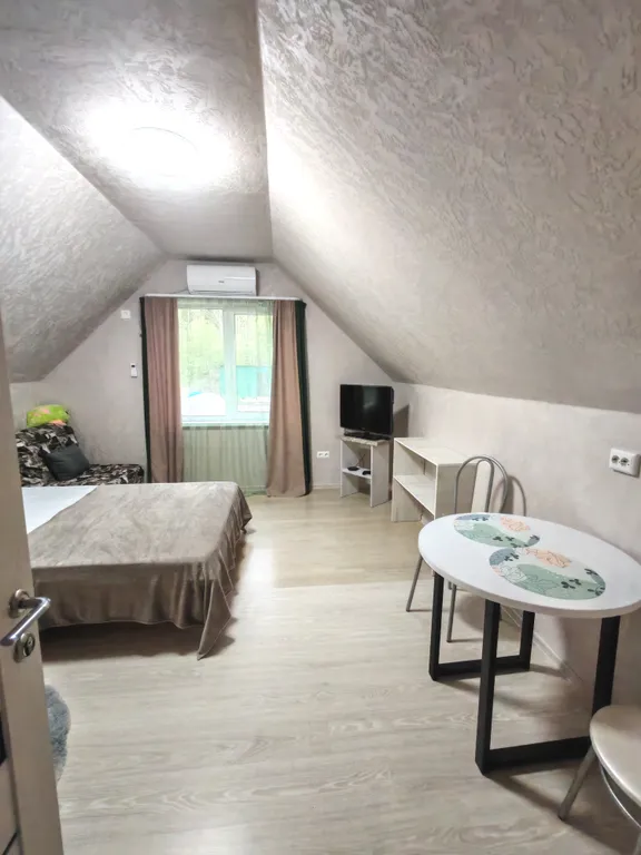 Уютная мансарда дома у озера