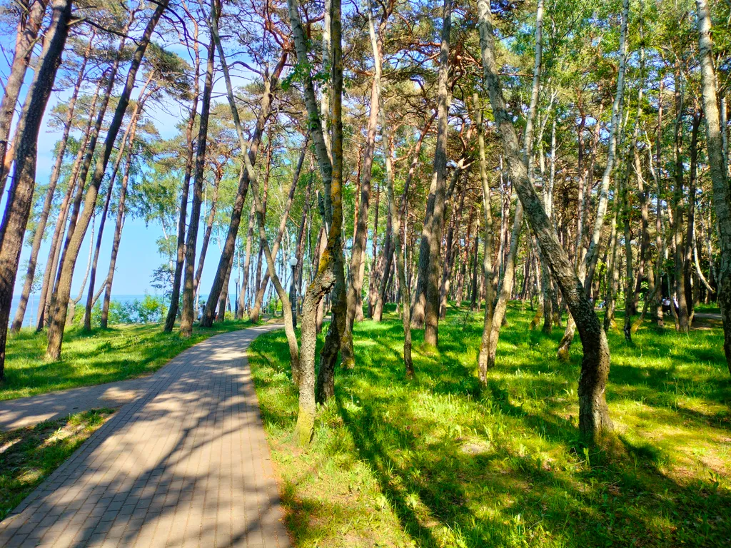 Уютная квартира на морском побережье