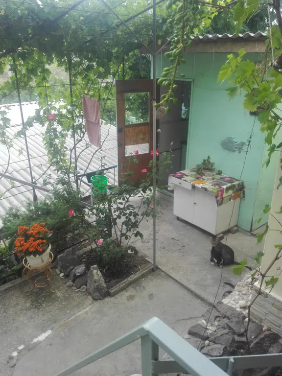 Домик на дереве