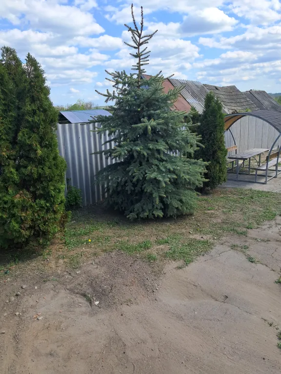 Гостевой домик на Советской рядом река Дон