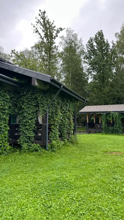 Просторный коттедж в окружении леса – идеальное место для отдыха