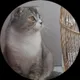Оксана