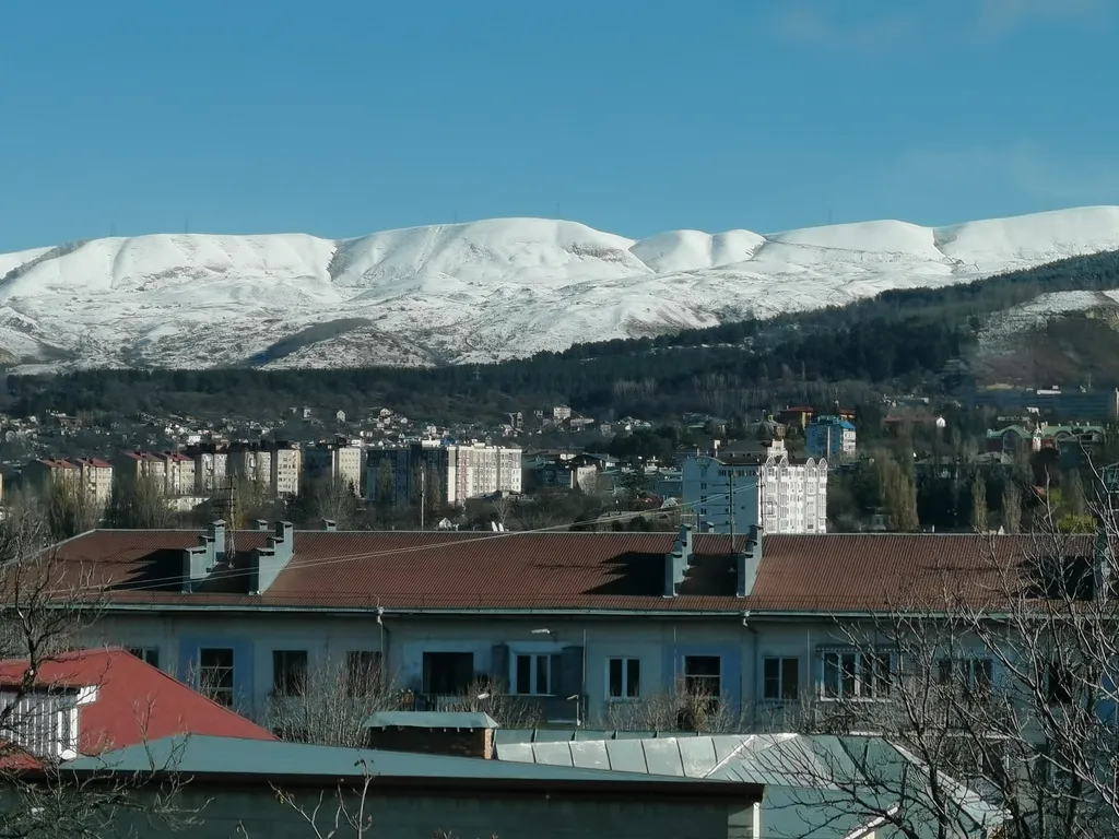 Трёх комнатная квартира в центре города