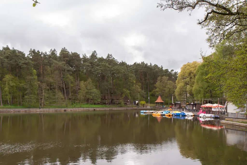 Квартира Уютная квартира на берегу озера Тихое в центре — Светлогорск
