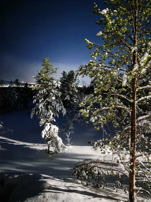 Уютный уголок на природе в сердце Мурманска