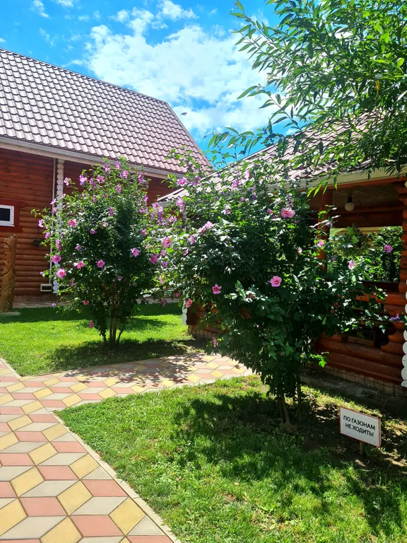 База отдыха Лесная дача