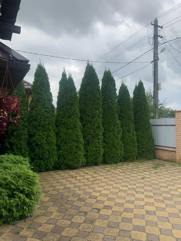 Коттедж Уютный семейный дом для отдыха — Ленина