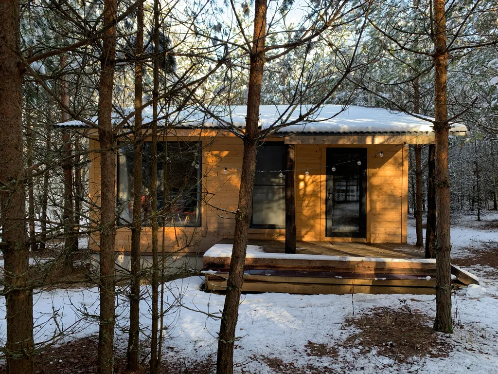 Гостевой домик в лесу №3
